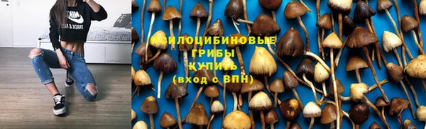 гидропоника Алзамай